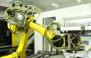 榮耀光輝不斷 富勒十八周年簡單回顧